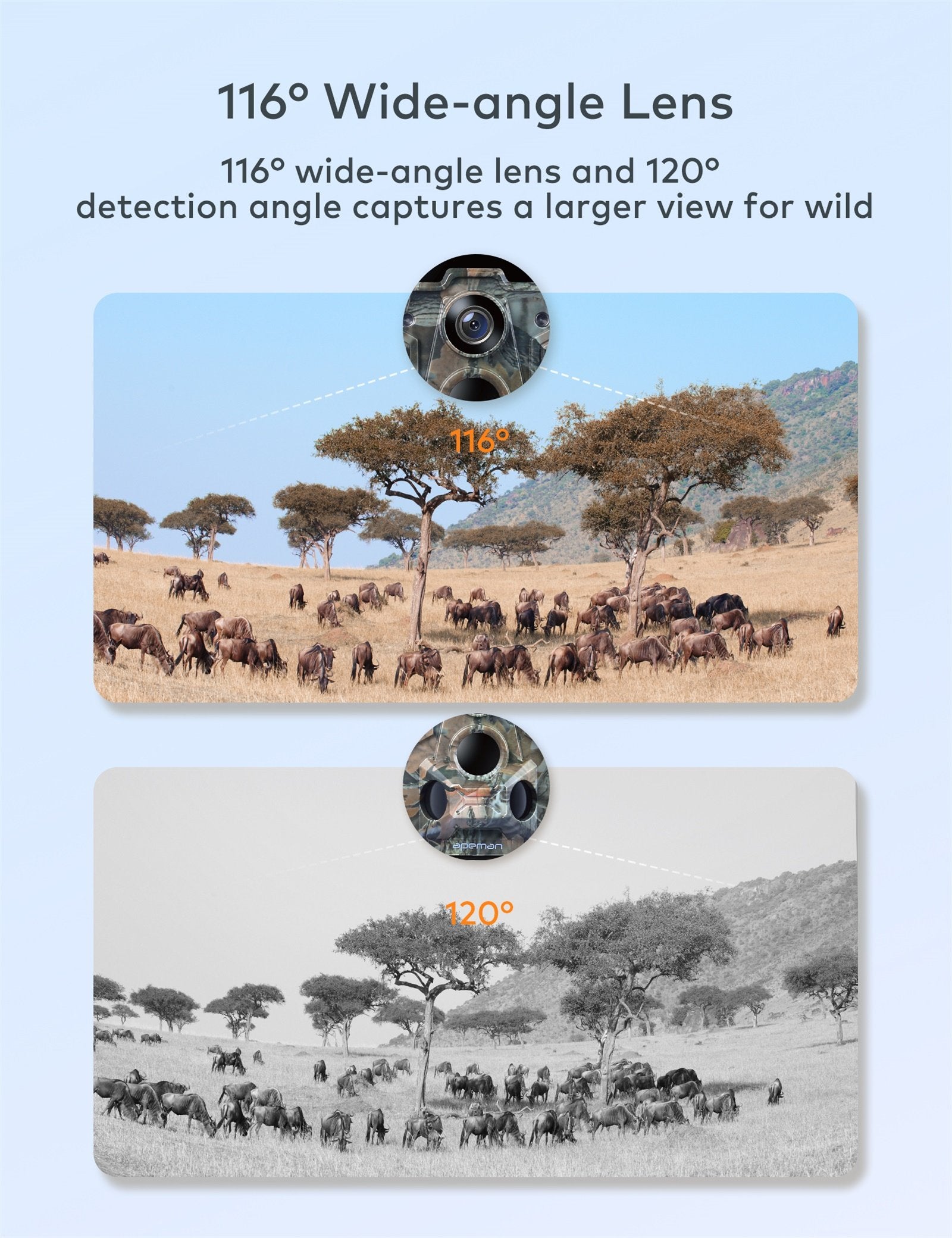 APEMAN H60 Wildlife Camera